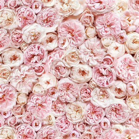 pink flower wall. rental business. back drop rental. 